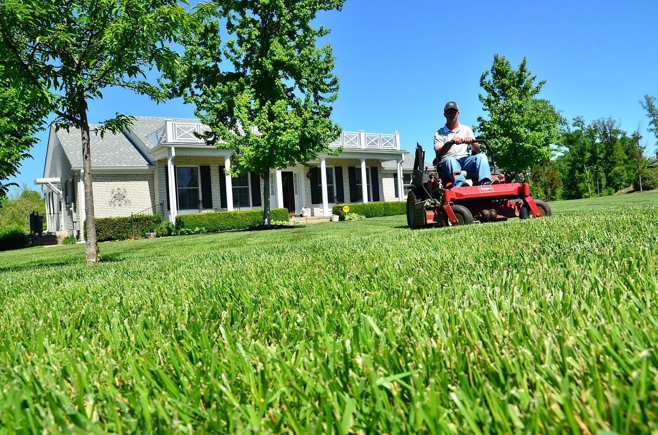 lawn care, lawn maintenance, lawn services
